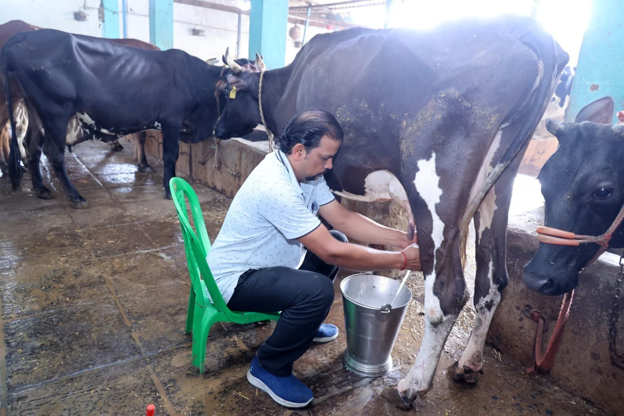 Raigarh Dairy Farm : 1,200 रुपये से शुरू किया कारोबार, 117 पशुओं तक पहुंचा फार्म; दूध से बढ़ी कमाई, 16 लोगों को रोजगार