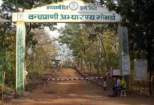 Gomarda Abhyaran Tourism : 275 वर्ग किमी में फैले गोमर्डा अभ्यारण्य को विकसित करने की मांग, CM साय को लिखा पत्र