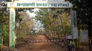 Gomarda Abhyaran Tourism : 275 वर्ग किमी में फैले गोमर्डा अभ्यारण्य को विकसित करने की मांग, CM साय को लिखा पत्र