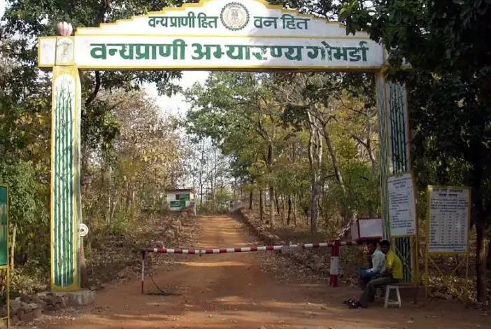 Gomarda Abhyaran Tourism : 275 वर्ग किमी में फैले गोमर्डा अभ्यारण्य को विकसित करने की मांग, CM साय को लिखा पत्र