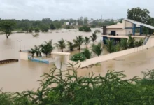 Bastar Flood Crisis : बाढ़-बारिश का कहर, बस्तर में त्राहि-त्राहि; 300 से अधिक गांव बने टापू