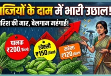 Vegetable Price Hike : बारिश की मार से सब्जियों के दाम में उछाल, पालक 200, खेक्सी 150 और करेला 120 रुपये किलो
