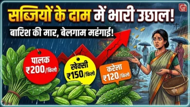 Vegetable Price Hike : बारिश की मार से सब्जियों के दाम में उछाल, पालक 200, खेक्सी 150 और करेला 120 रुपये किलो