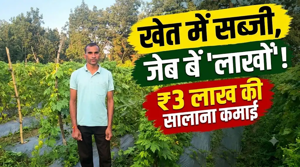 Narayanpur Horticulture Farming : योजना का लाभ लेकर किसान ने बदली खेती, सब्जियों से सालाना 3 लाख रुपये तक कमाई  ड्रिप