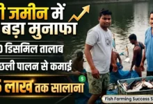 Fish Farming Success : छोटी जमीन में बड़ा मुनाफा, 40 डिसमिल तालाब में मछली पालन से 15 लाख तक सालाना कमाई