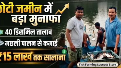 Fish Farming Success : छोटी जमीन में बड़ा मुनाफा, 40 डिसमिल तालाब में मछली पालन से 15 लाख तक सालाना कमाई