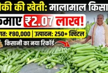 Bottle Gourd Farming : लौकी की खेती से किसान ने कमाए 2.07 लाख, 80 हजार की लागत में 250 क्विंटल से ज्यादा उत्पादन