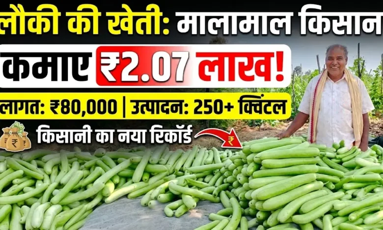 Bottle Gourd Farming : लौकी की खेती से किसान ने कमाए 2.07 लाख, 80 हजार की लागत में 250 क्विंटल से ज्यादा उत्पादन