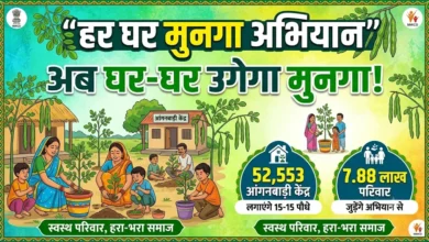 Har Ghar Munga Campaign : अब घर-घर उगेगा मुनगा, 52,553 आंगनबाड़ी केंद्र लगाएंगे 15-15 पौधे; 7.88 लाख परिवार जुड़ेंगे