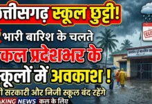 Chhattisgarh School Holiday : भारी बारिश के चलते कल प्रदेशभर के स्कूलों में अवकाश, सीएम साय ने दिए निर्देश