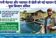 Fish Poultry Farming Jashpur : तालाब के ऊपर मुर्गी पालन, नीचे मछली, युवा किसान ने बनाया कमाई का मॉडल