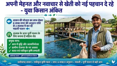 Fish Poultry Farming Jashpur : तालाब के ऊपर मुर्गी पालन, नीचे मछली, युवा किसान ने बनाया कमाई का मॉडल