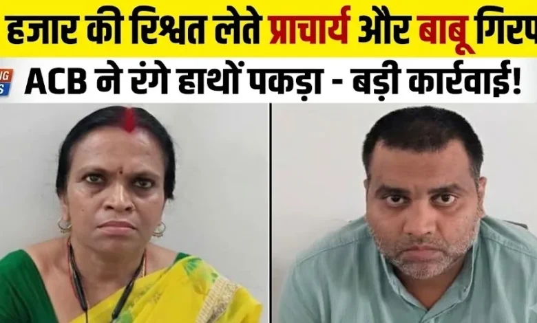 Bribe Arrest : 10 हजार रुपये की रिश्वत लेते प्राचार्य और बाबू गिरफ्तार, एसीबी ने रंगे हाथ पकड़ा