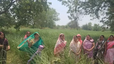 Khass Farming : धान से हटकर खस की खेती, महिलाओं ने कमाए 1.12 लाख रुपए