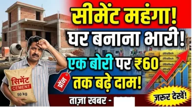 Cement Price Hike : सीमेंट महंगा, घर बनाना पड़ेगा भारी; एक बोरी पर 60 रुपये तक बढ़े दाम