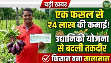 Horticulture Scheme : एक फसल से 4 लाख की कमाई, उद्यानिकी योजना ने किसान की बदल दी पूरी तस्वीर