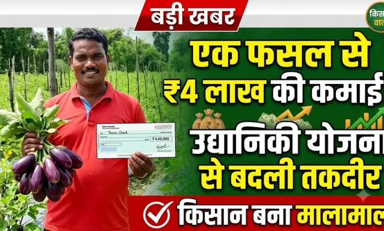 Horticulture Scheme : एक फसल से 4 लाख की कमाई, उद्यानिकी योजना ने किसान की बदल दी पूरी तस्वीर