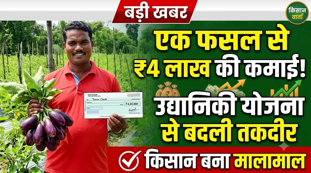 Horticulture Scheme : एक फसल से 4 लाख की कमाई, उद्यानिकी योजना ने किसान की बदल दी पूरी तस्वीर