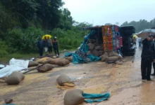 Balod Road Accident : बालोद के मरकाटोला घाट में खड़े वाहन को ट्रक ने घसीटा, छह की मौत, 7 घायल