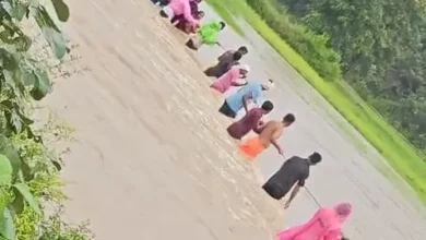 Gariaband Flood Rescue : बाढ़ में फंसी बस, रस्सी के सहारे 50 से अधिक यात्रियों को बचाया