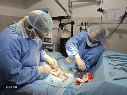 Python Tumor Surgery : अजगर के मुंह में 200 ग्राम का ट्यूमर, साढ़े तीन घंटे चले आपरेशन ने दी नई जिंदगी