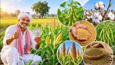 Krishak Unnati Yojana : खुशखबरी! किसानों को मिलेंगे 15 हजार रुपये प्रति एकड़, जानें कैसे करें आवेदन और कब तक है मौका