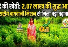 Genda Farming : राष्ट्रीय बागवानी मिशन से गेंदे की खेती को बढ़ावा, प्रति एकड़ 2.07 लाख की शुद्ध आय