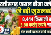 Chhattisgarh Crop Insurance Claim : छत्तीसगढ़ के 8,444 किसानों को तीन दिनों में मिलेगा फसल बीमा क्लेम, 3.80 करोड़ रुपये होंगे जारी