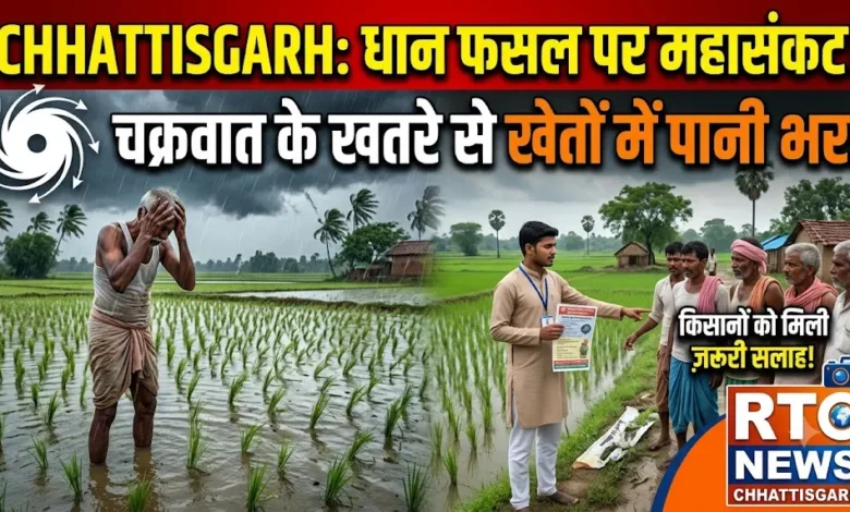 Chhattisgarh Dhaan Crop Alert : चक्रवात के खतरे से धान की फसल पर संकट, खेतों में भरा पानी, किसानों को दी गई ये सलाह
