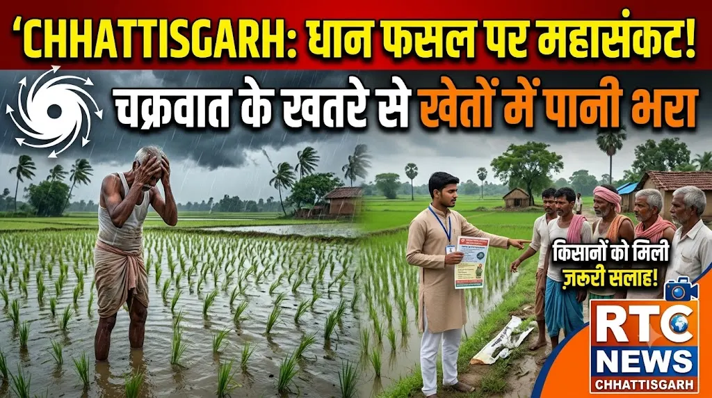 Chhattisgarh Dhaan Crop Alert : चक्रवात के खतरे से धान की फसल पर संकट, खेतों में भरा पानी,  किसानों को दी गई ये सलाह