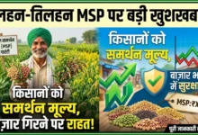 Pulses and Oilseeds MSP : दलहन-तिलहन की खेती करने वाले किसानों को मिलेगा समर्थन मूल्य, बाजार में भाव गिरने पर मिलेगी राहत