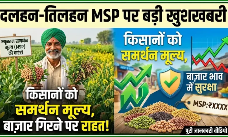 Pulses and Oilseeds MSP : दलहन-तिलहन की खेती करने वाले किसानों को मिलेगा समर्थन मूल्य, बाजार में भाव गिरने पर मिलेगी राहत