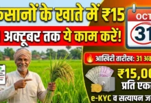 Krishak Unnati Yojana : किसानों के खाते में आएंगे 15,000 रुपये प्रति एकड़! 31 अक्टूबर से पहले कर लें ये काम