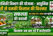 Horticulture Department Scheme : 80 हजार से 5 लाख तक पहुंची कमाई, आधुनिक खेती से चमकी किसान की किस्मत