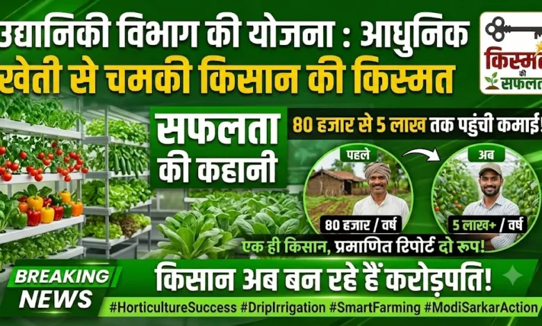 Horticulture Department Scheme : 80 हजार से 5 लाख तक पहुंची कमाई, आधुनिक खेती से चमकी किसान की किस्मत