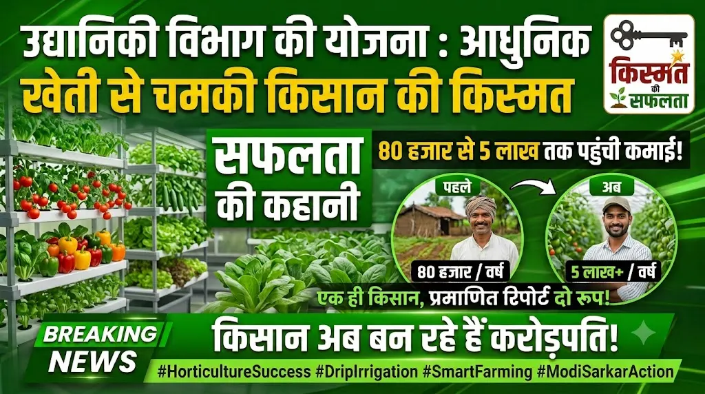 Horticulture Department Scheme : 80 हजार से 5 लाख तक पहुंची कमाई, आधुनिक खेती से चमकी किसान की किस्मत