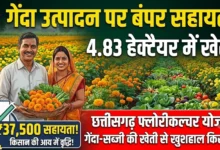 Chhattisgarh Floriculture Scheme : किसान ने 4.83 हेक्टेयर में अपनाई फूल-सब्जियों की खेती, गेंदा उत्पादन पर मिल रही 37,500 रुपये की सहायता