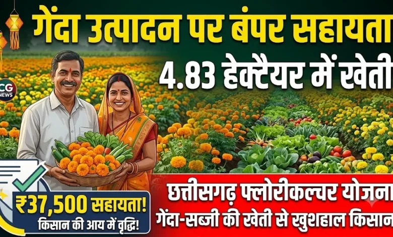 Chhattisgarh Floriculture Scheme : किसान ने 4.83 हेक्टेयर में अपनाई फूल-सब्जियों की खेती, गेंदा उत्पादन पर मिल रही 37,500 रुपये की सहायता