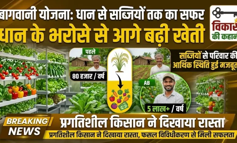 Horticulture Scheme : धान के भरोसे से आगे बढ़ी खेती, सब्जियों से परिवार की आर्थिक स्थिति हुई मजबूत