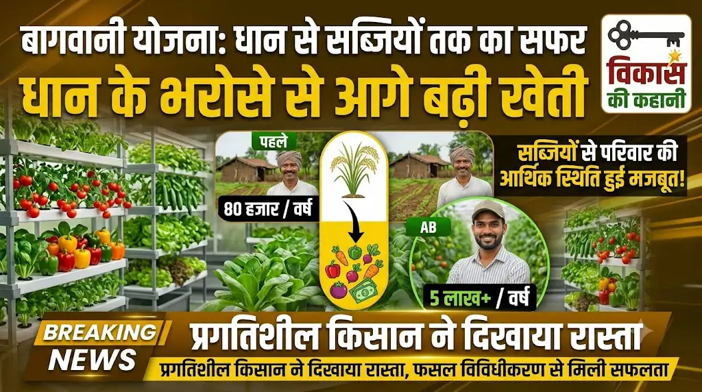 Horticulture Scheme : धान के भरोसे से आगे बढ़ी खेती, सब्जियों से परिवार की आर्थिक स्थिति हुई मजबूत