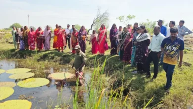 Makhana Farming : मखाना की खेती से आत्मनिर्भर बन रहीं महिलाएं, 29 एकड़ में शुरू हुआ संग्रहण