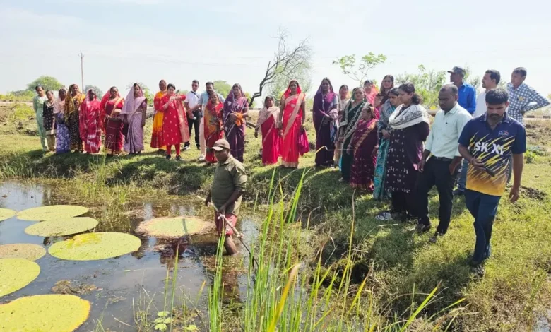 Makhana Farming : मखाना की खेती से आत्मनिर्भर बन रहीं महिलाएं, 29 एकड़ में शुरू हुआ संग्रहण