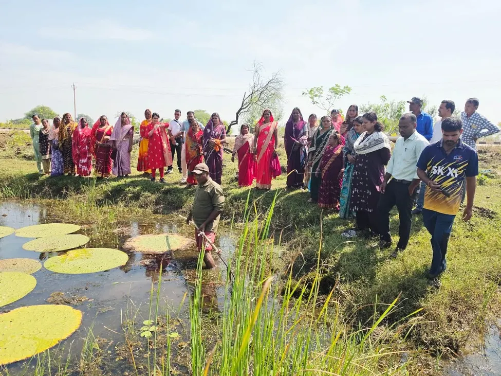 Makhana Farming : मखाना की खेती से आत्मनिर्भर बन रहीं महिलाएं, 29 एकड़ में शुरू हुआ संग्रहण