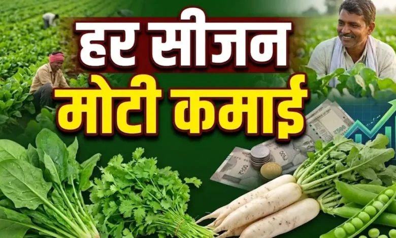 Vegetable Farming Profit : 50 हजार लगाकर उगाएं 4 सब्जियां, हर सीजन कमाई का समझें पूरा गणित