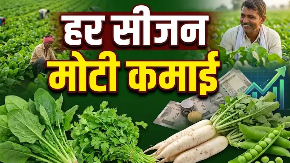 Vegetable Farming Profit : 50 हजार लगाकर उगाएं 4 सब्जियां, हर सीजन कमाई का समझें पूरा गणित