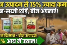 Seed Production Farming : धान-सब्जी छोड़ बीज उत्पादन अपनाया, प्रति एकड़ कमाई में 75% का उछाल