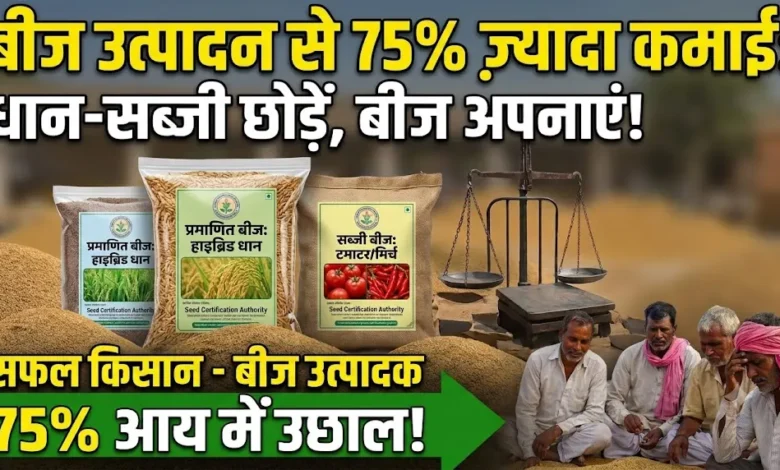 Seed Production Farming : धान-सब्जी छोड़ बीज उत्पादन अपनाया, प्रति एकड़ कमाई में 75% का उछाल