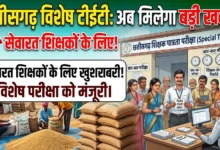 Chhattisgarh Special TET Exam : छत्तीसगढ़ में शिक्षकों की टीईटी पर बड़ा अपडेट, सरकार की सहमति; साल में दो बार मिलेगा परीक्षा का मौका