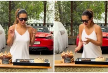Malaika Arora Birthday : 53 की उम्र में भी मलाइका अरोड़ा का जलवा बरकरार, साड़ी से ब्लैक और शिमरी आउटफिट तक हर लुक में दिखा ग्लैमर